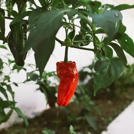 Cc Bay House Costa de Caparica